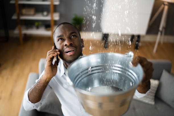 Geneva, AL Water damage restoration Company