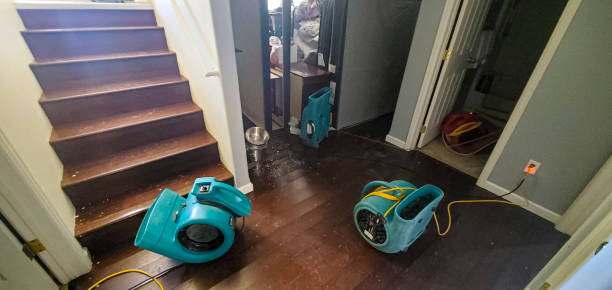 Best Water damage cleanup near me  in Geneva, AL