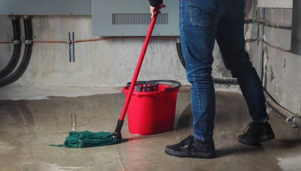 Best Sewage cleanup and water damage restoration  in Geneva, AL